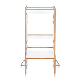 Turn de invatare Montessori, Lionelo, Cass, Functie de raft pentru carti, Pana la 30 kg, 12 luni - 6 ani, Din MDF si furnir, 3 trepte de inaltime, Alb