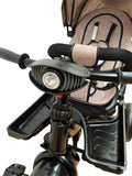 Tricicleta Evolutiva 5099Eva , pozitie de somn, scaun rotativ si muzica distractiva, culoare ROZ